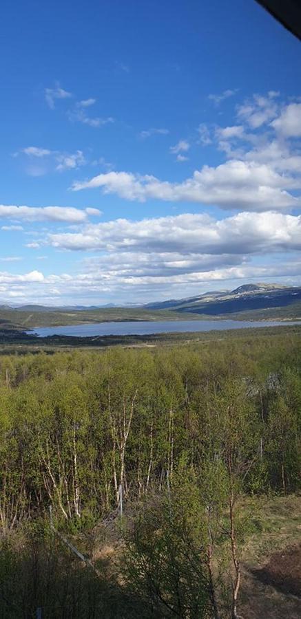 Snohetta Camping Hjerkinn Exterior foto